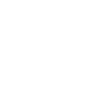 Phone Logo